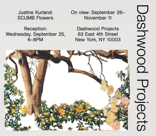 Justine Kurland opening for SCUMB Flowers at Dashwood Projects