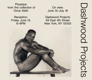 Vince Aletti reception for Physique at Dashwood Projects