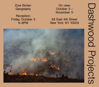 Zora Sicher reception for Geography at Dashwood Books