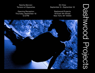 Naicha Mercier signing and reception for Tension of Opposites at Dashwood Projects