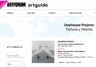 Artforum: "Fortuna y Fetiche"  Exhibition at Dashwood Project