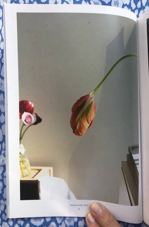 Wako Book 6 Wolfgang Tillmans 1,500 copies