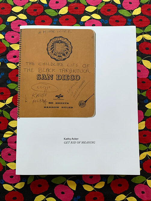 Get Rid Of Meaning Kathy Acker